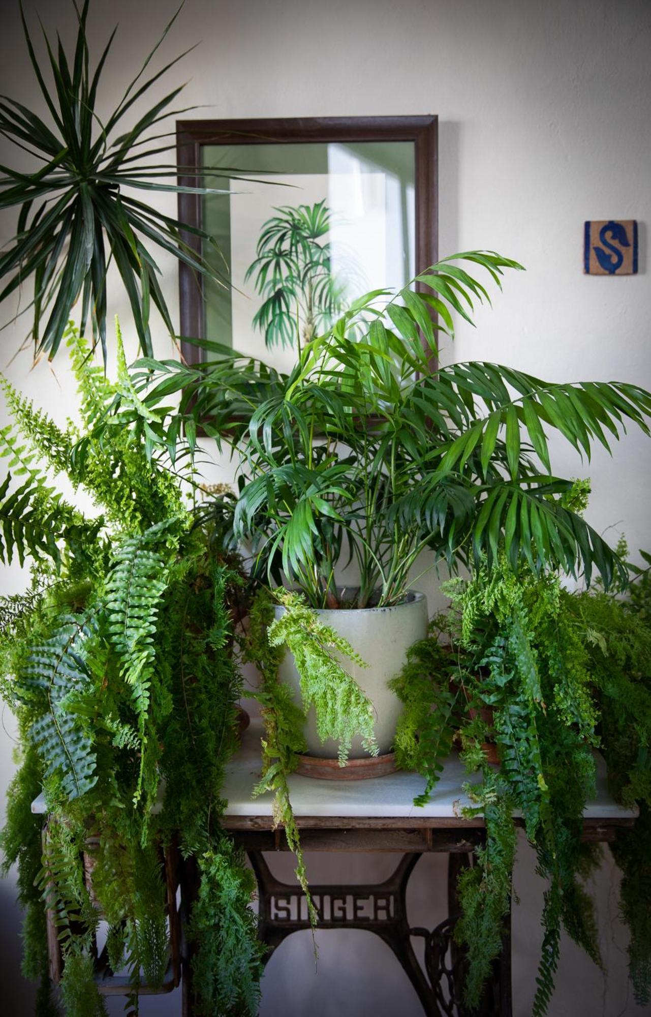 Casa di campagna Palmeras Del Califa Vejer de la Frontera