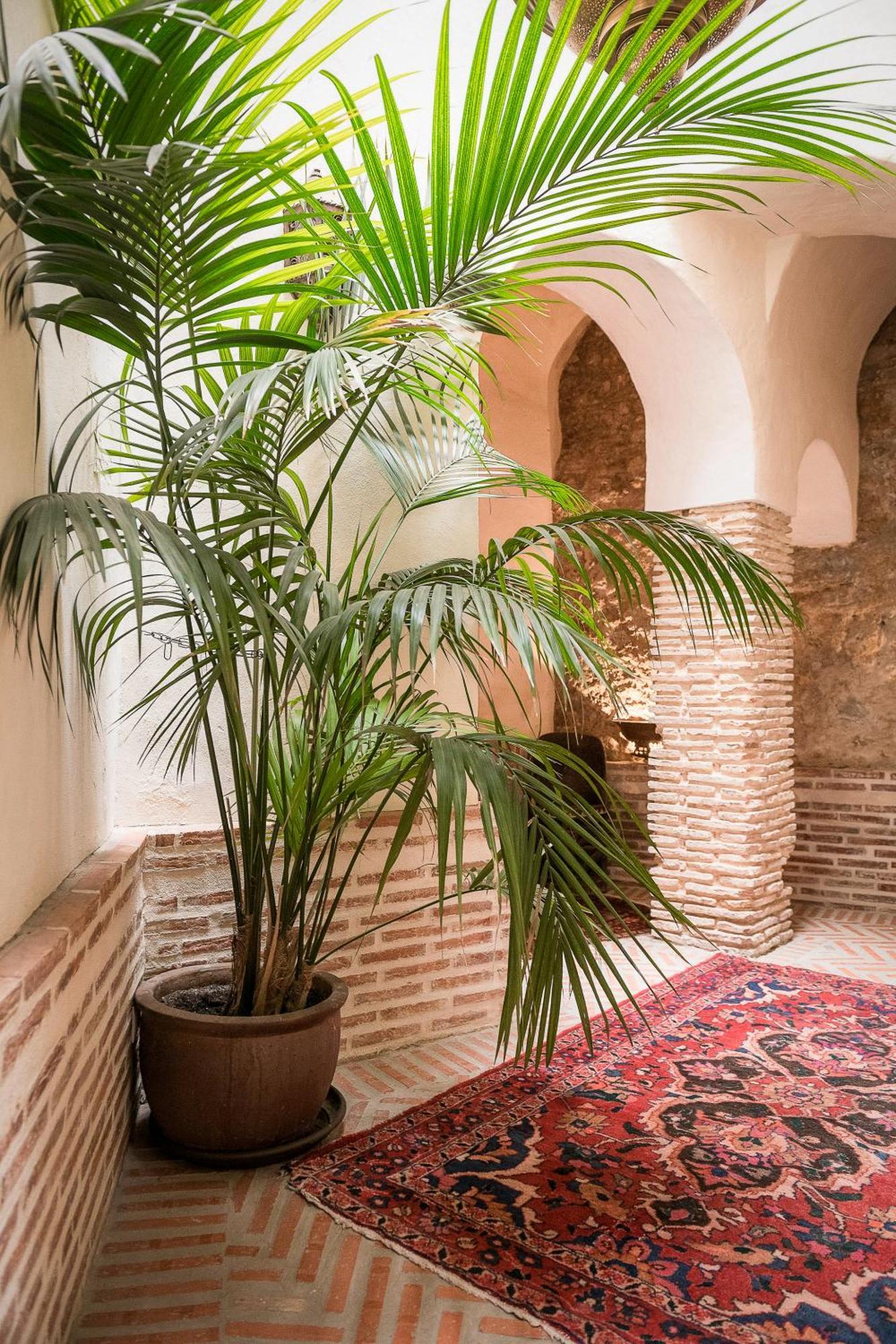 Casa di campagna Palmeras Del Califa